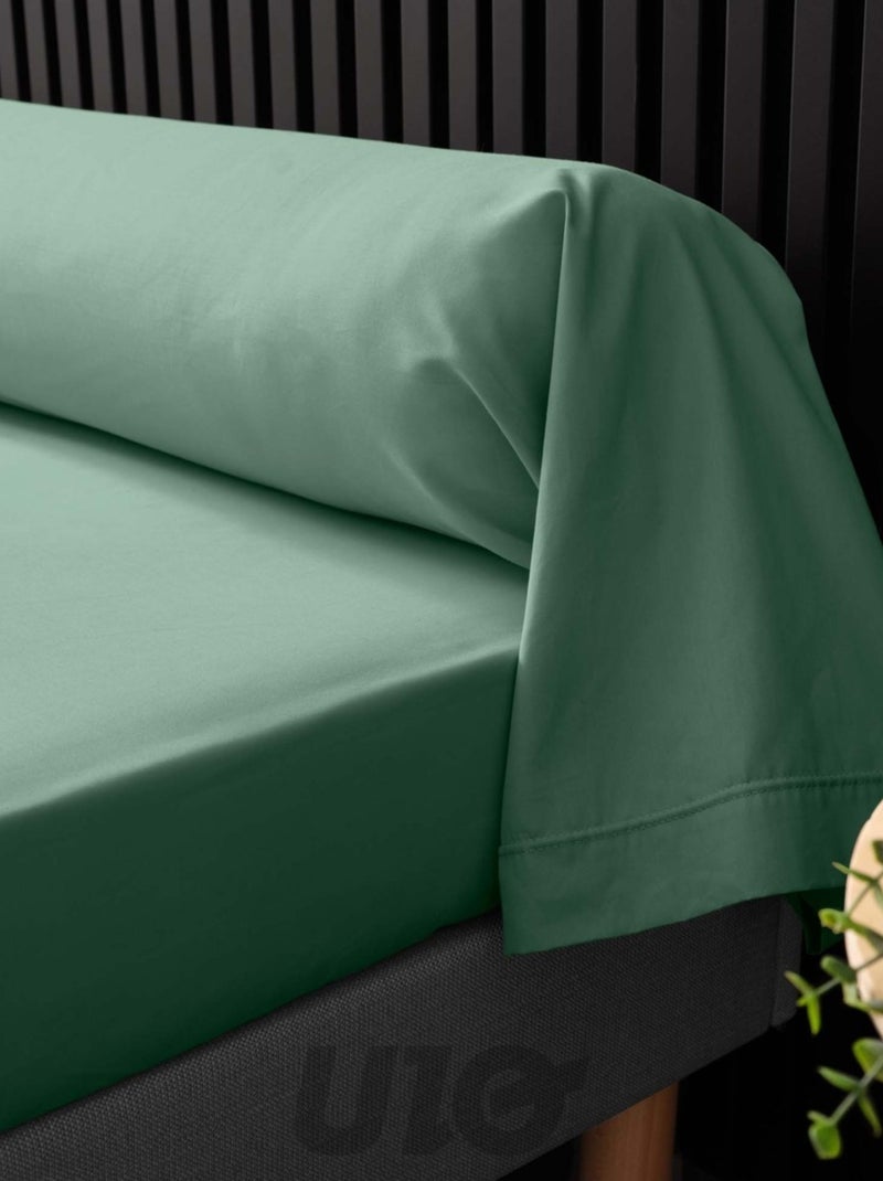 Taies de Traversin Percale de Coton 78fils Percale Douceur d'Intérieur Vert Sauge - Kiabi