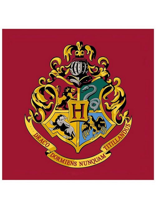 Tapis Carré Harry Potter Logo Poudlard - 80 x 80 cm - Kiabi