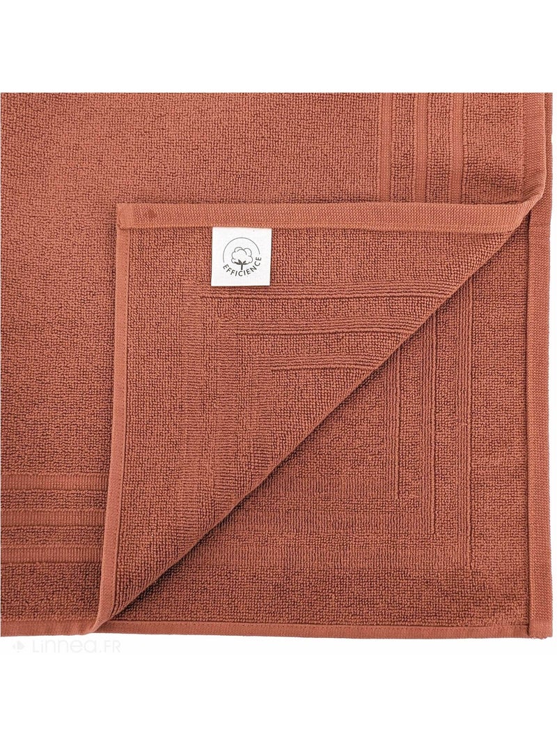 Tapis de bain EFFICIENCE PURE Rouge pourpre - Kiabi