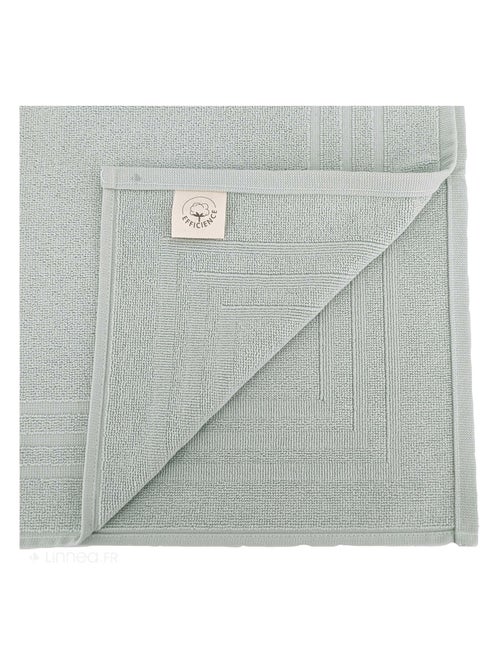 Tapis de bain EFFICIENCE PURE - Kiabi