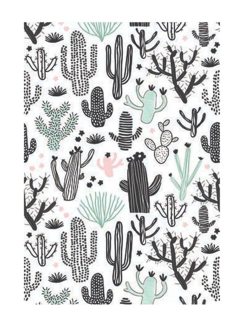 Tapis de chambre Enfant CACTUS - Kiabi