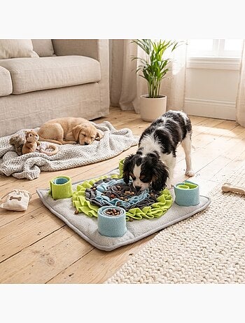 Tapis de fouille et a renifler joya pour chien