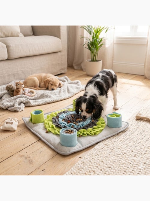 Tapis de fouille et a renifler Joya pour chien - Kiabi