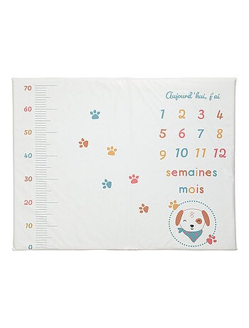 Tapis de jeu avec étapes bébé - Toutou - Babycalin