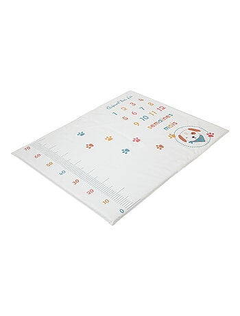 Tapis de jeu avec étapes bébé - Toutou - Babycalin