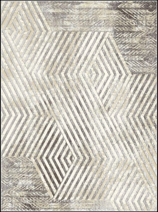 Tapis de salon BORROW 200 x 300 cm - Gris - Mani Textile