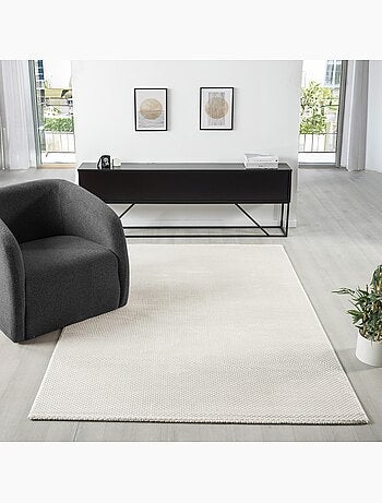 Tapis de salon NORA 5610 - 120x170 / Gris