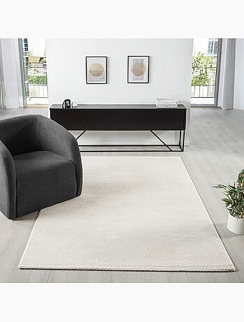 Tapis de salon NORA 5610