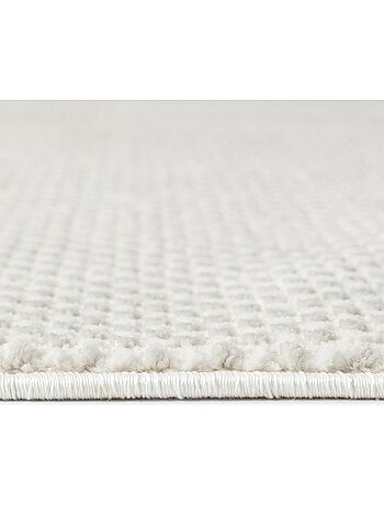 Tapis de salon NORA 5610 - 120x170 / Gris