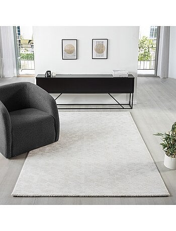 Tapis de salon NORA 5720