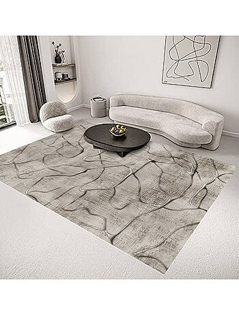 Tapis de salon VEIN