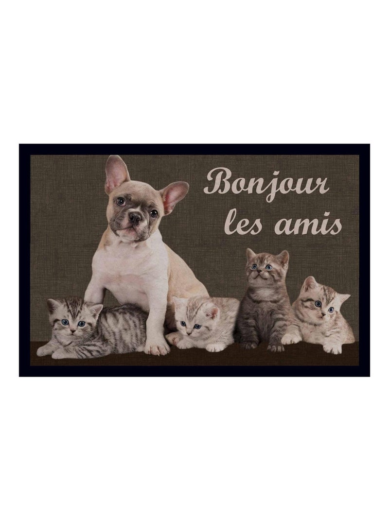 Tapis d'entree Bonjour les amis Gris - Kiabi