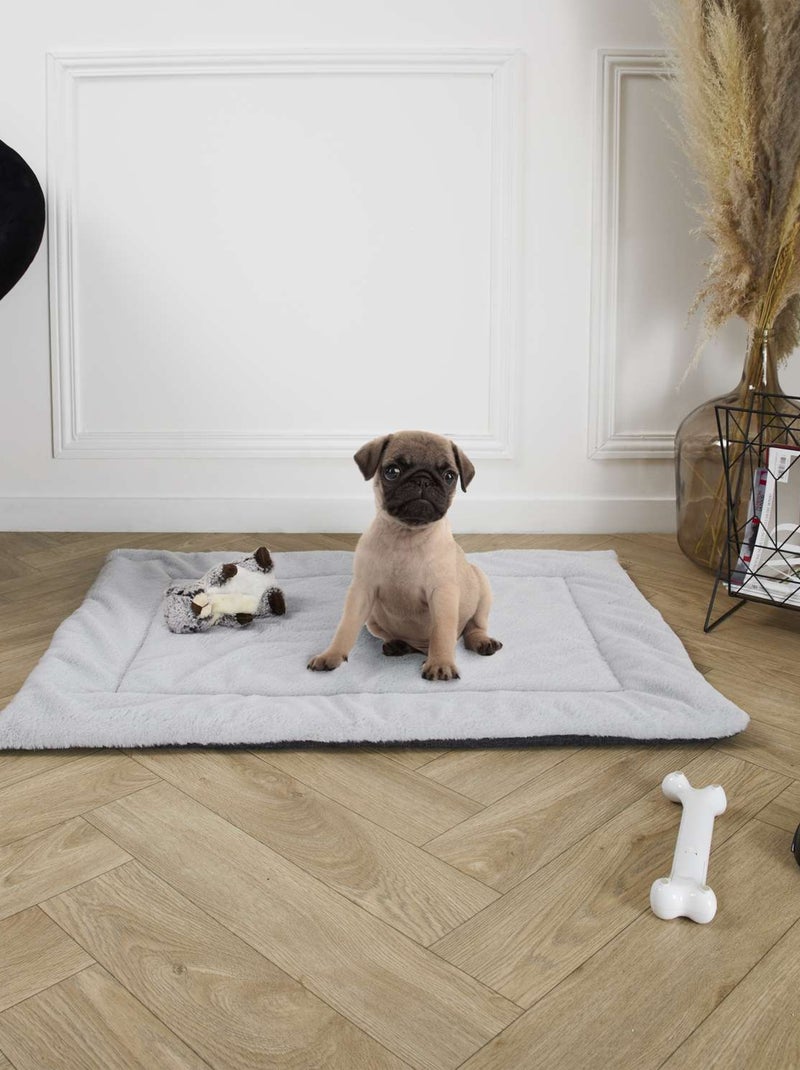 Tapis doux pour chien et chat JAZZ Gris - Kiabi