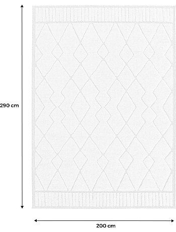 Tapis intérieur motif ethnique berbère beige et créme Judy