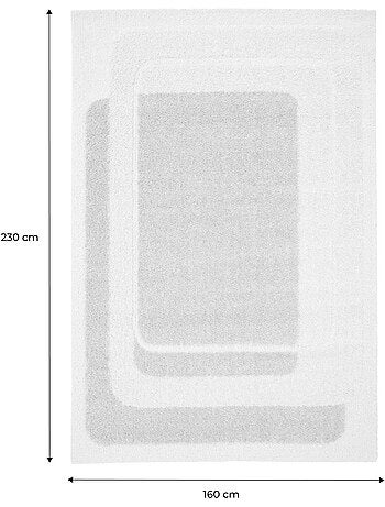Tapis intérieur motif graphique beige et crème Akai