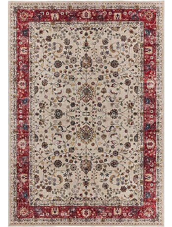 Tapis intérieur motif persan multicolore Ivo
