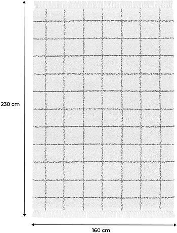 Tapis intérieur shaggy motif quadrillage multicolore avec franges Edward