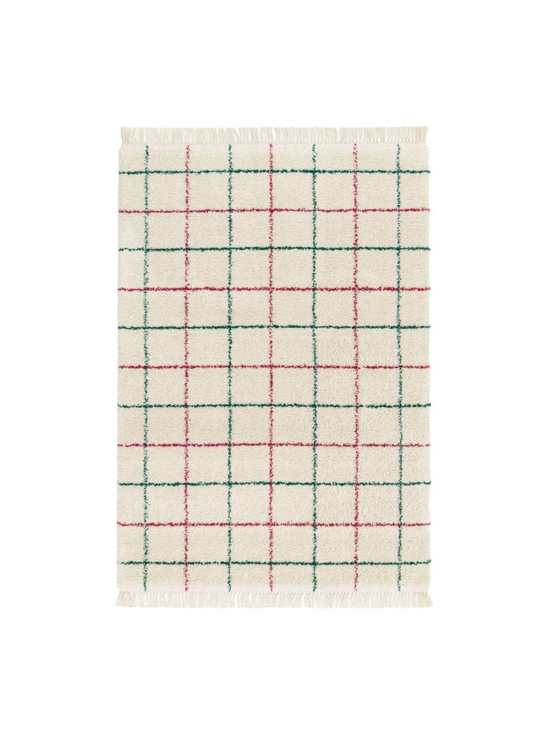 Tapis intérieur shaggy motif quadrillage multicolore avec franges Edward Multicolore - Kiabi