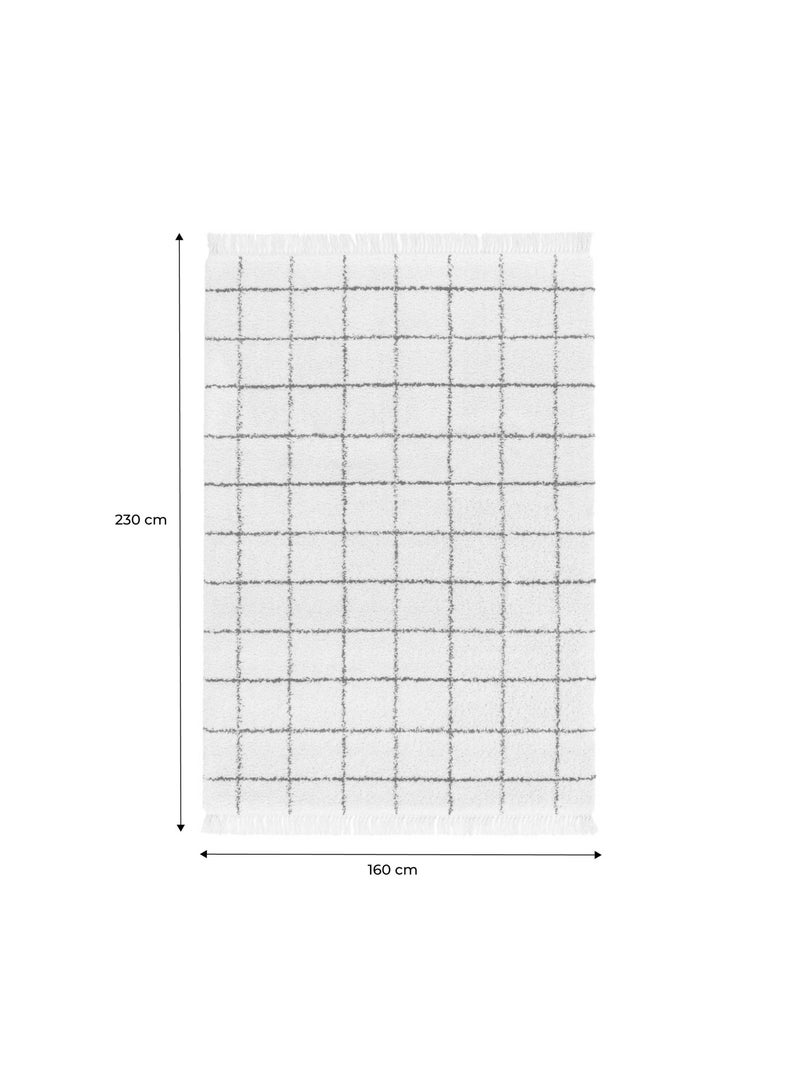 Tapis intérieur shaggy motif quadrillage multicolore avec franges Edward Multicolore - Kiabi