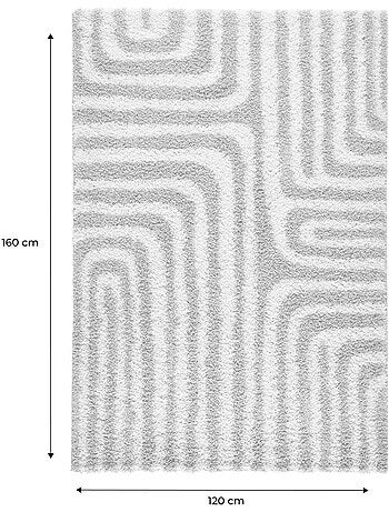 Tapis intérieur shaggy motifs géométriques beige Queensy
