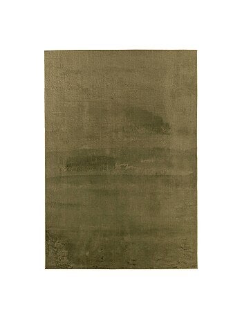 Tapis intérieur uni vert oscaria