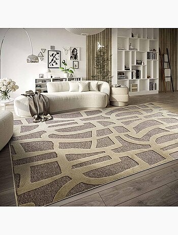 Tapis kilim, motif géométrique authentique, kilim tissé, therese