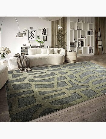 Tapis kilim, motif géométrique authentique, kilim tissé, therese