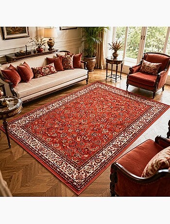 Tapis oriental tissé motif ancestral lyn1 nomed