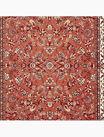 Tapis oriental tissé motif ancestral lyn1 nomed