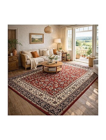 Tapis oriental tissé motif ancestral LYN1 NOMED