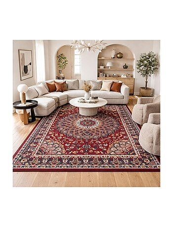 Tapis oriental tissé motif ethnique LYN1 ROSOR