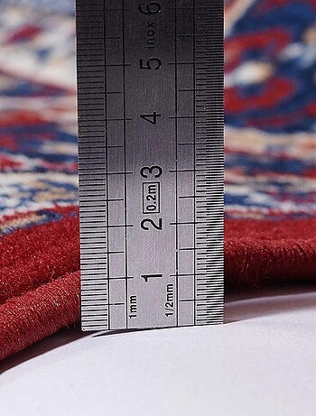 Tapis oriental tissé motif ethnique LYN1 ROSOR