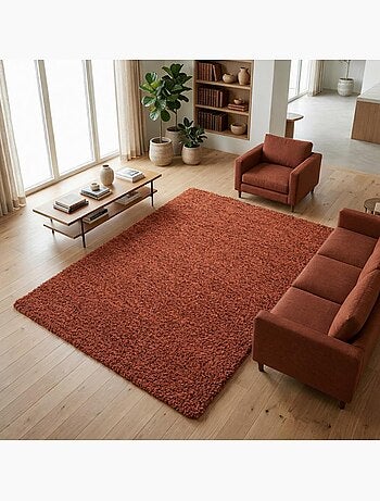 Tapis poils longs shaggy tissé motif uni UNI L