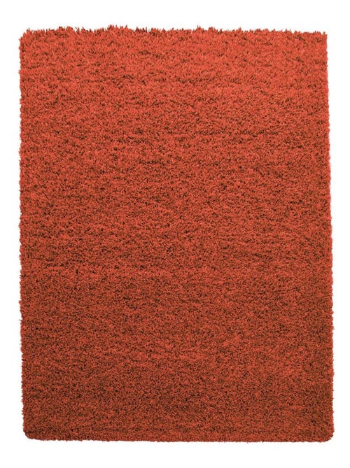 Tapis poils longs shaggy tissé motif uni UNI L - Kiabi Tapis poils longs shaggy tissé motif uni UNI L - Kiabi