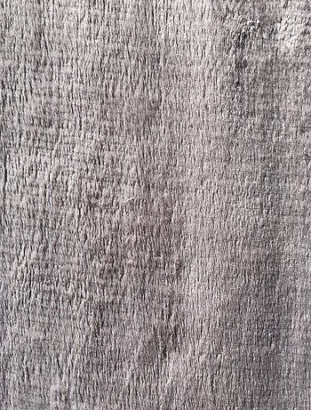 Tapis promo linge