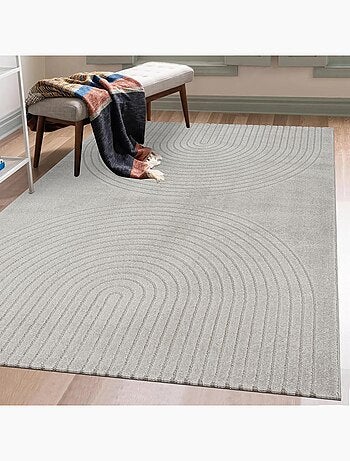 Tapis salon DEMILU Tapis doux en relief