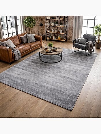 Tapis salon et chambre fait à la main en viscose motif uni NEO +