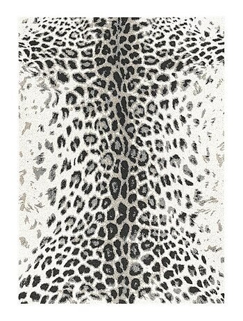 Tapis salon et chambre tissé motif animaux BELLA 5