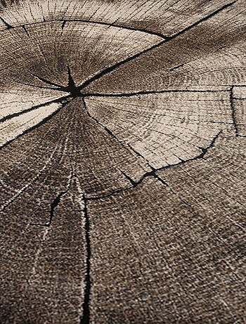 Tapis salon et chambre tissé motif floral RAMPI