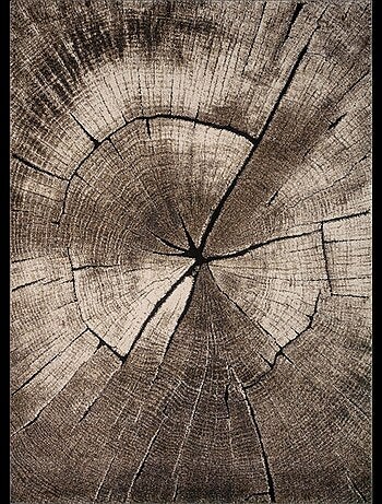 Tapis salon et chambre tissé motif floral RAMPI