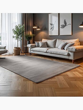 Tapis salon faux uni, poils ras, design épuré, dolomite, confort