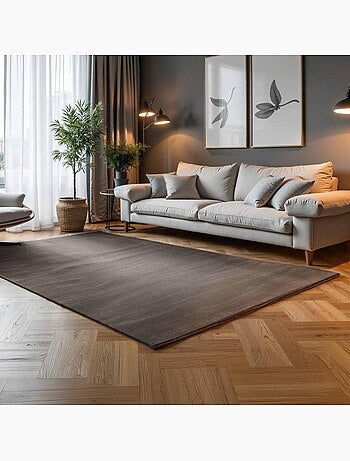 Tapis salon faux uni, poils ras, design épuré, dolomite, confort