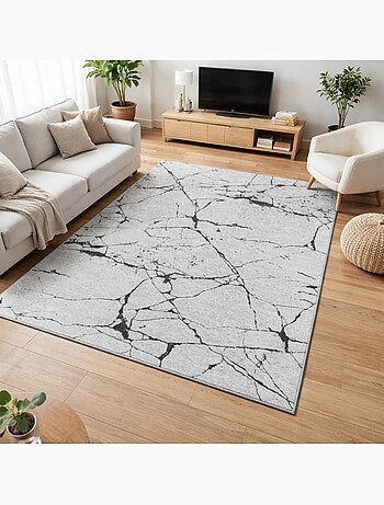 Tapis salon LYN11 MARB facile d'entretien