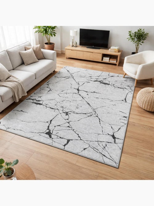 Tapis salon LYN11 MARB facile d'entretien - Kiabi