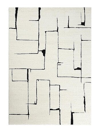 Tapis salon LYN9 BRINKI Tapis soyeux en relief