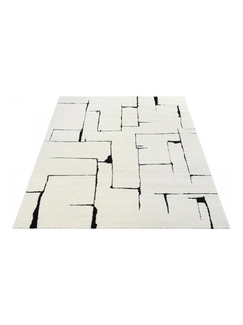 Tapis salon LYN9 BRINKI Tapis soyeux en relief - Kiabi