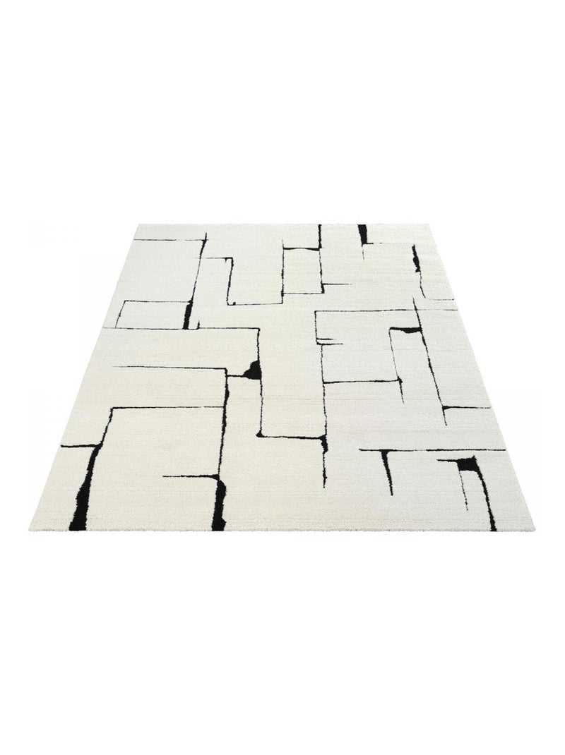 Tapis salon LYN9 BRINKI Tapis soyeux en relief Noir - Kiabi