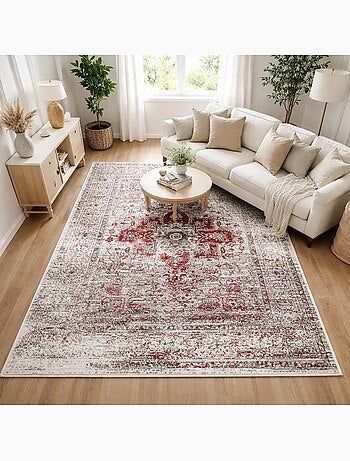 Tapis salon motif oriental vintage, ornements délicats, lyn1 vint