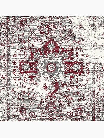 Tapis salon motif oriental vintage, ornements délicats, lyn1 vint