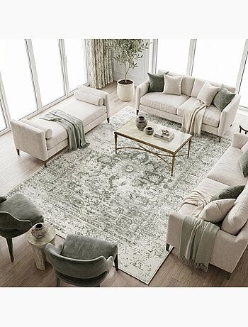 Tapis salon motif oriental vintage, ornements délicats, lyn1 vint